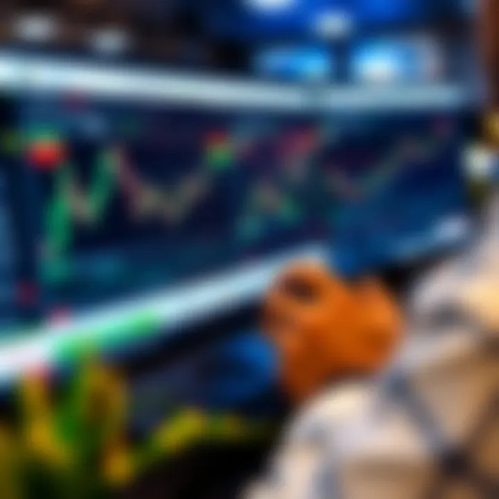 User navigating Expert Option trading platform interface displaying various trading charts and options