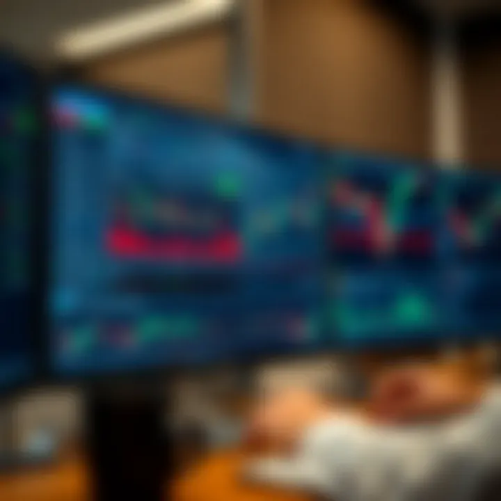 Dashboard view showing multiple trading accounts managed within MetaTrader software