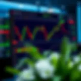 User interface of a binary option trading platform displaying charts and trading options